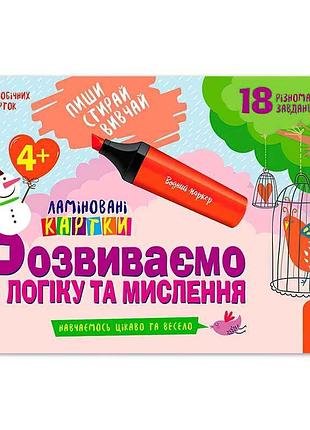 Ламинированные развивающие карточки для детей 4+ с логическими заданиями кн825002у
