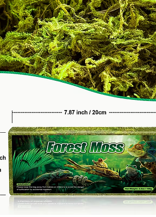 🌿 живий лісовий мох forest moss 100 г 🌿 🐌 для тераріумів • флораріумів • ахатин • орхідей • живих стін • декору