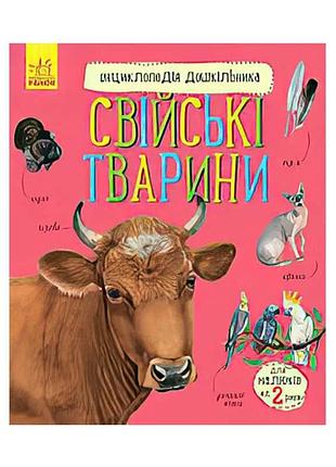 Энциклопедия для малышей домашние животные с614029у