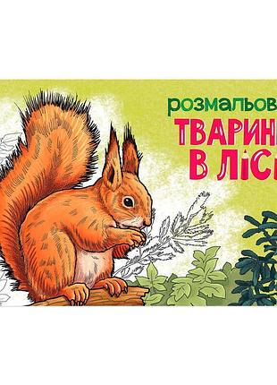Розмальовка для дітей «тварини в лісі» а583012у з реалістичними малюнками