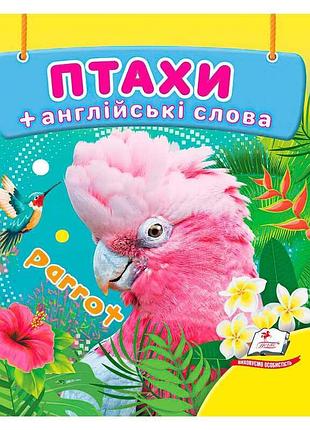 Детская картонная книжка пегас гр птицы 9786178638573 для раннего развития