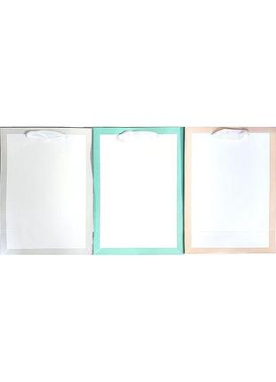 Подарочный пакет с вертикальной рамкой rs-0438 размером 20x28x10 см
