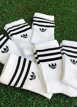 Носки adidas високі 12 пар