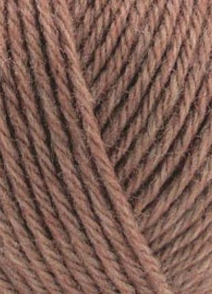 Alize wooltime, лісовий горіх 466