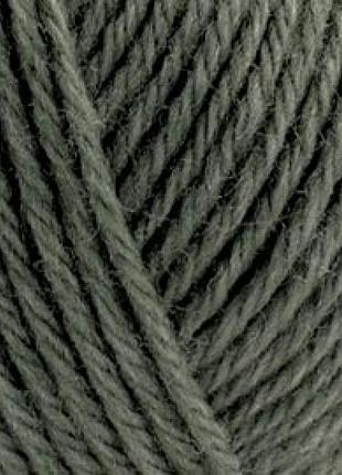 Alize wooltime, темна хвоя 546