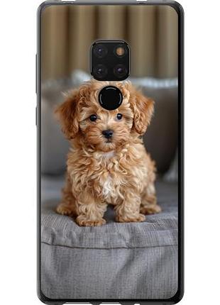 Чехол на huawei mate 20 mini-maltipoo из пластика fch_0166279
