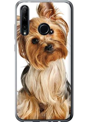 Чехол на huawei honor 10i йоркширский терьер с хвостиком из силикона fch_0166430