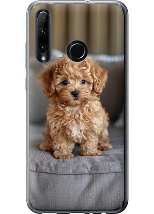 Чехол на huawei honor 10i mini-maltipoo из силикона fch_0166270