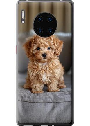 Чехол на huawei mate 30 pro mini-maltipoo из силикона fch_0166277