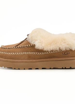Ugg tasman alpine chestnut