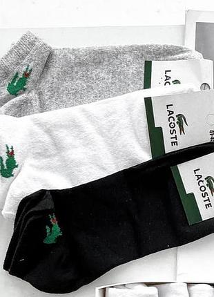 Lacoste низкие 5 пар (без коробки)