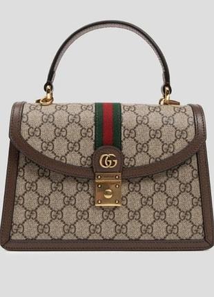 Canvas ophidia series brown