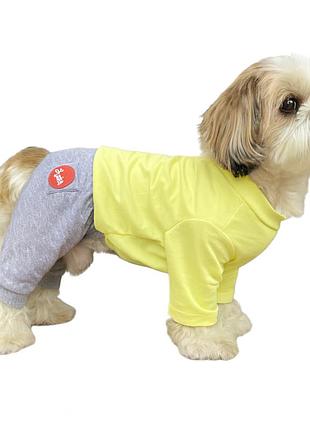 Костюм для животных diego print 1, размер l желто-серый