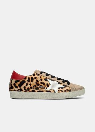 Golden goose super star leopard