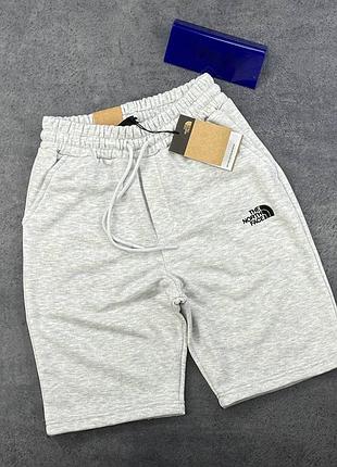 Шорты tnf серые