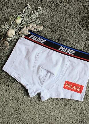 Мужское белье palace white