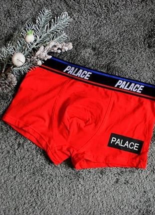 Мужское белье palace red