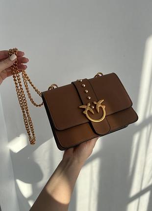 Pinko brown