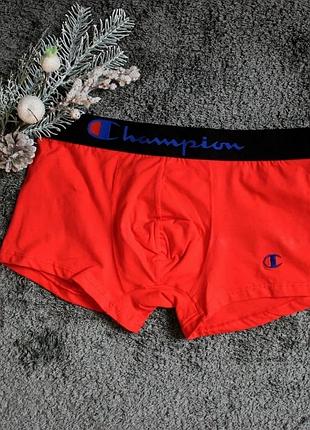 Мужское белье champion red