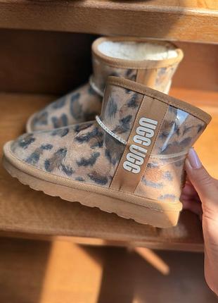 Теплі зимові леопардові угги ugg дитячі 30 31 розмір