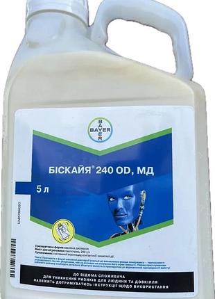 Інсектицид біскайя 5 л
