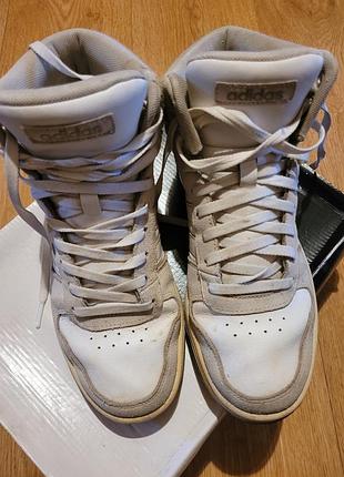 Кросівки adidas
