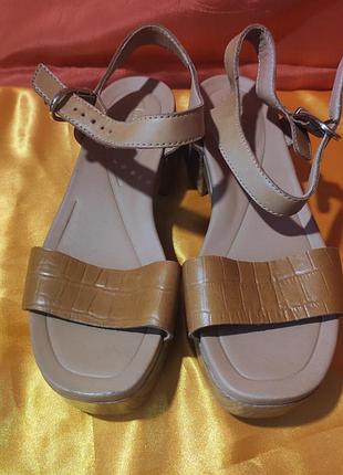 Стильні жіночі босоніжки clarks