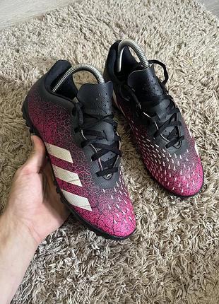 Сороконіжки adidas predator