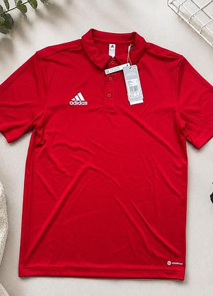 Чоловіча спортивна футболка-поло adidas entrada 22 polo