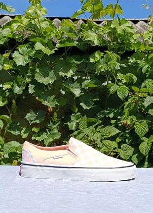 Vans off the wall
tropical peach