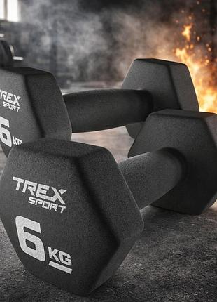 Гантели неопреновые шестигранные trex sport tx-060vd 2x6 кг для фитнеса дома и силовых тренировок