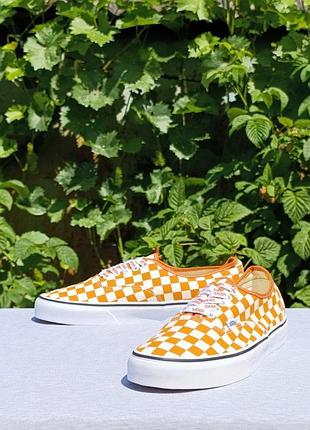 Vans off the wall
desert sun 2