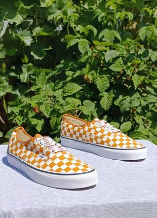 Vans off the wall
desert sun