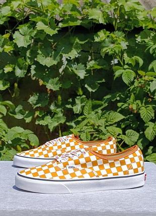 Vans off the wall
desert sun 3