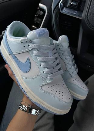 Nike sb dunk low premium