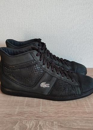 Кожаные женские кеды lacoste 38р. 25 см.