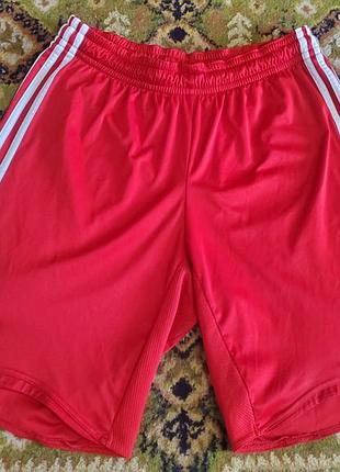 Шорты adidas liverpool