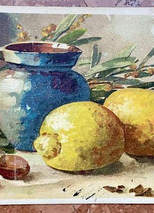 Європа. натюрморт з лимонами.