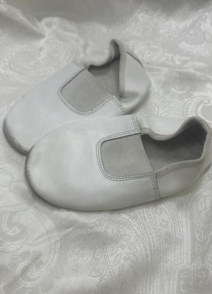 Білі чешки