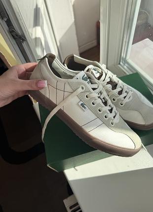 Кросівки lacoste backslam