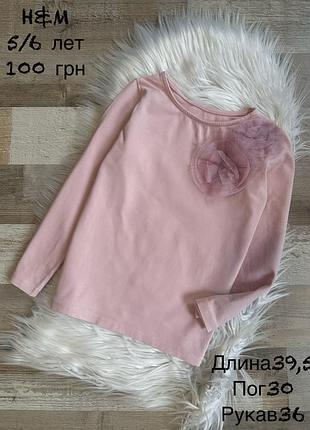 Реглан 5/6 років