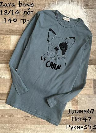 Реглан zara 13/14 років