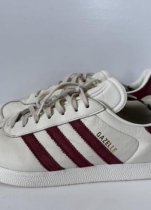 Adidas gazelle кросівки