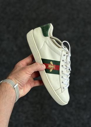 Кеди gucci