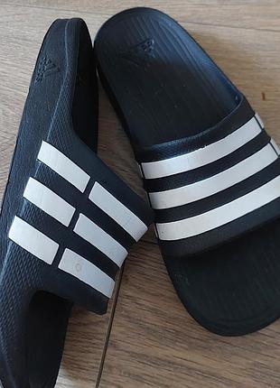 Шлепанцы unisex adidas (05)
