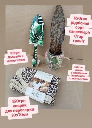 Лопатка и коврик для пересадки растений, чашка с монстерой кашпо для стакана 200мл
