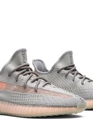 Adidas yeezy 350 boost v2 trfrm