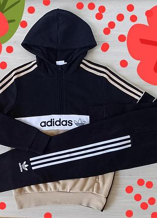 Спортивный костюм  adidas