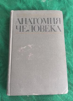 М г привіс H до лисиць у і бушків анатомія людини 1974