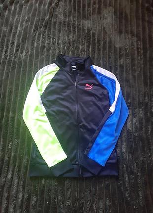 Красива олімпійка puma